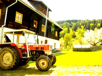 Bild 77 aus Pension Zechnerhof