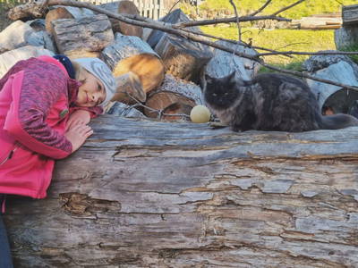 Bild 29 aus  Mortnerhof