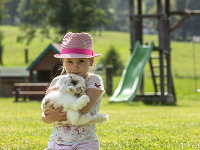 Bild 101 aus  Chalet Steinerner Meerblick