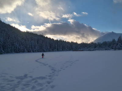 Bild 114 aus Riatschhof