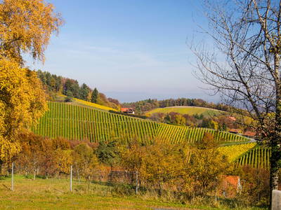 Bild 39 aus  Der Ofenmacherhof  Urlaub am Bauernhof