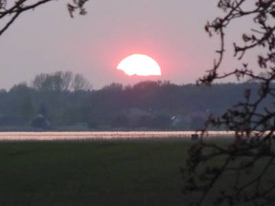 Bild 34 aus  Ferienhaus Gut Rattelvitz-INSEL RÜGEN