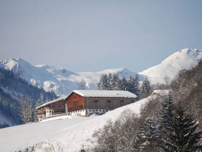 Bild 18 aus  Feriengut Hasenau