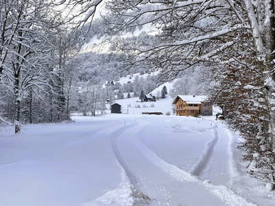 Bild 27 aus  Ferienhof Rösslar