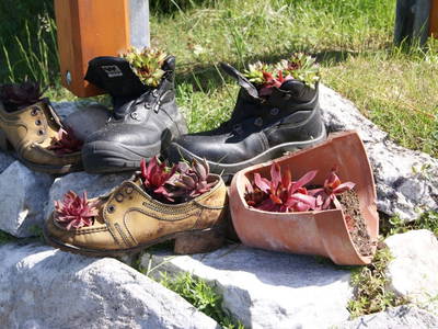 Bild 6 aus  Radlerhof Kienesberger