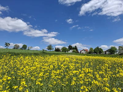 Bild 16 aus  Ferienhaus Plessberg