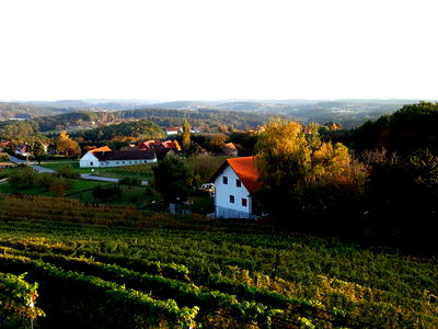 Bild 59 aus Apfelhof