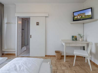 Bild 209 aus  Pleschinhof