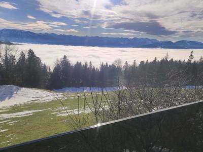 Bild 63 aus  Weitblickhof Roth