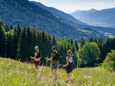 Bild 10 aus  Panoramahof am Goldberg