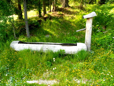 Bild 11 aus Almhütte - Bei der Gose