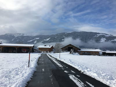 Bild 40 aus  Baby- und Kinderbauernhof Oberhasling