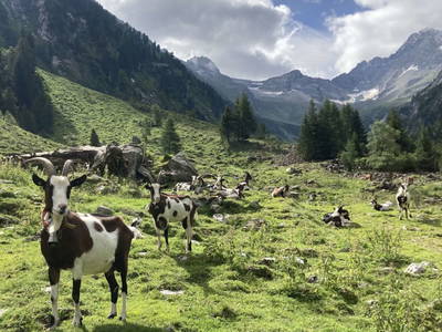 Bild 20 aus  Wiererhof