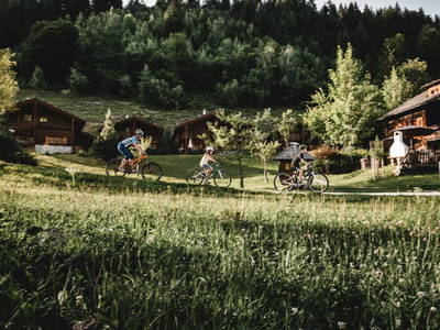 Bild 269 aus  Proneben Gut - Erlebnisbauernhof u. Kuschelhütten