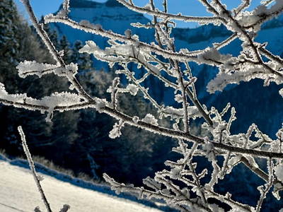 Bild 34 aus  Ferienhaus Oberpremgut