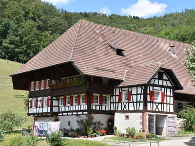 Bild 29 aus  Vogtbenedikthof im Schwarzwald