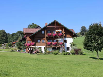 Bild 106 aus  Biobauernhof Brandlhof