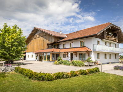 Bild 5 aus  Pointbauer