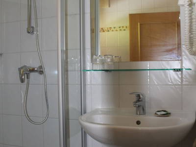 Bild 106 aus  Familienbauernhof Samerhof