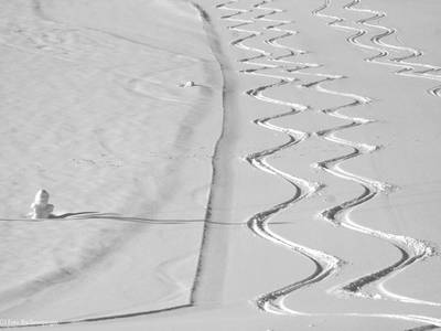 Bild 36 aus  Bio-Ferien-Bauernhof MOARBAUER