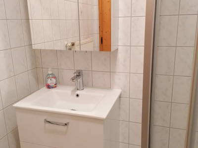 Bild 95 aus  Familie Resch am Hörlesberg