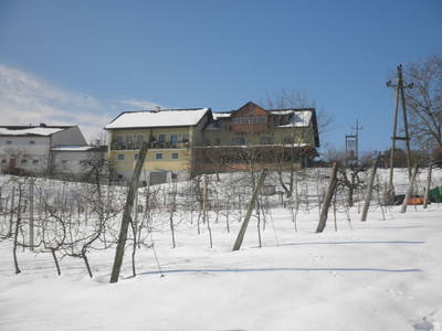 Bild 123 aus  Spezialitätenhof Eichmann