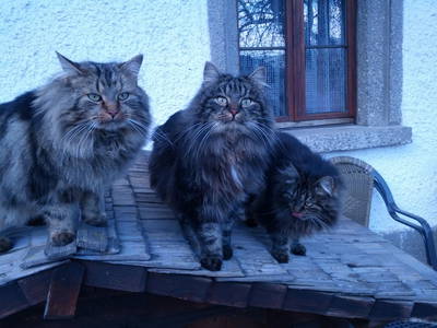 Bild 22 aus  Rettenbachgut