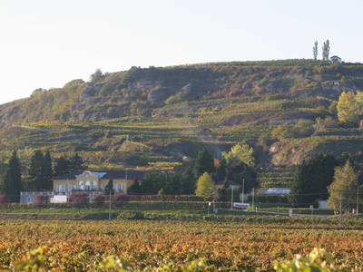 Bild 98 aus  Schmankerl und Gast Heiderer