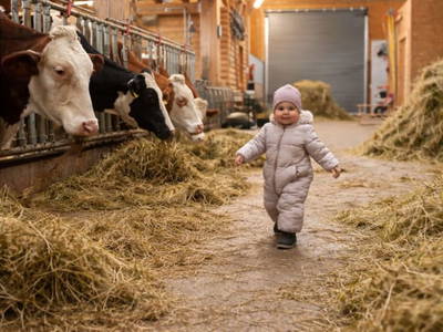 Bild 24 aus  Landhaus Eiter