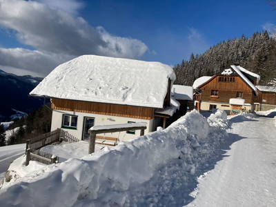 Bild 100 aus  Bio-Bergbauernhof Möslhof