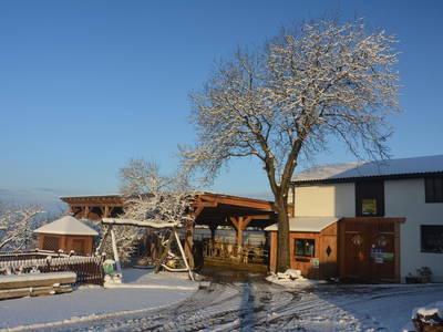 Bild 24 aus  Bio-Bauernhof Haunschmid