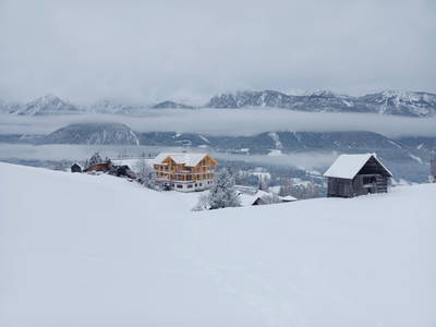 Bild 30 aus  Das DIRTLERGUT