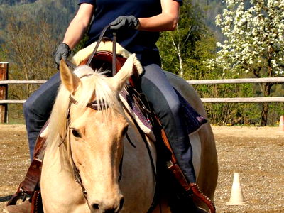 Bild 72 aus Bauernhof Wernhof