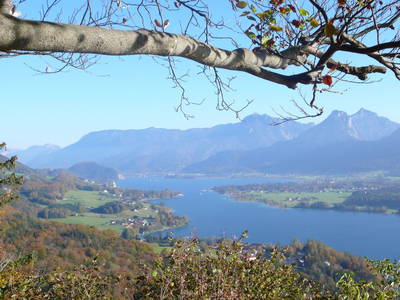 Bild 24 aus  Stallerbauer