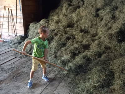 Bild 6 aus  Ferienhof Schneiderweg