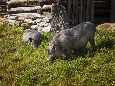 Bild 45 aus  Ederbauer