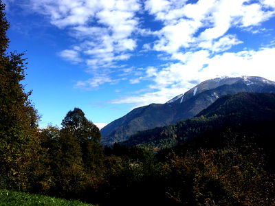 Bild 268 aus Arlitscherhof