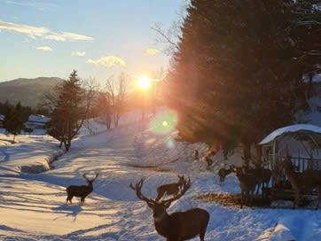 Bild 23 aus  Mayrhof