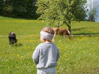 Bild 50 aus  Ferienhaus Zwickelreith
