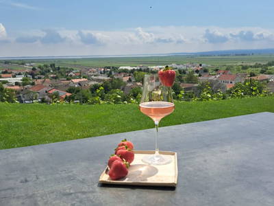 Bild 33 aus  Weingut - Gästehaus zum Seeblick Familie Sattler