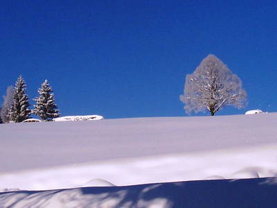 Bild 40 aus  Trialhof Schaureith