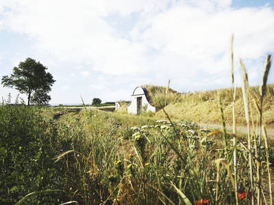 Bild 68 aus  BioWeingut Hauerhof 99