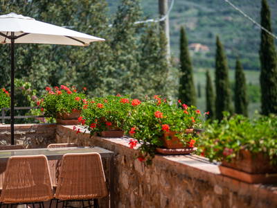 Bild 33 aus  Tenuta Il Cicalino