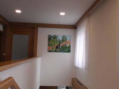 Bild 48 aus   Pammer - Jahn