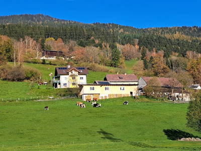 Bild 43 aus  Prechtlerhütte