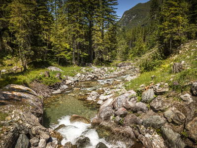 Bild 7 aus  Hintereggalm