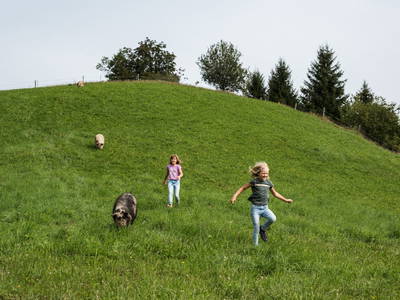 Bild 58 aus  Chalet Jochwand