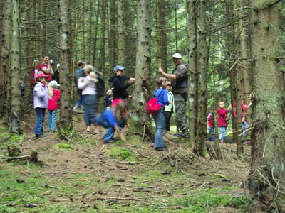 Bild 105 aus  Sportbauernhof Hochalmblick