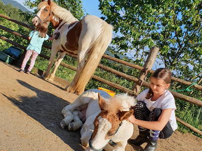 Bild 88 aus  Madritschhof