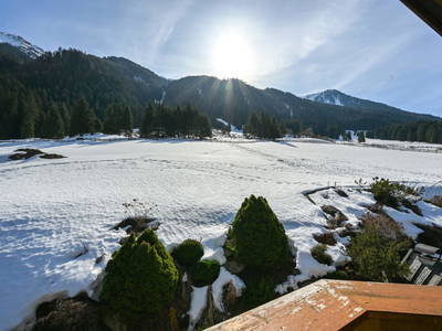 Bild 35 aus  Bastls Hof